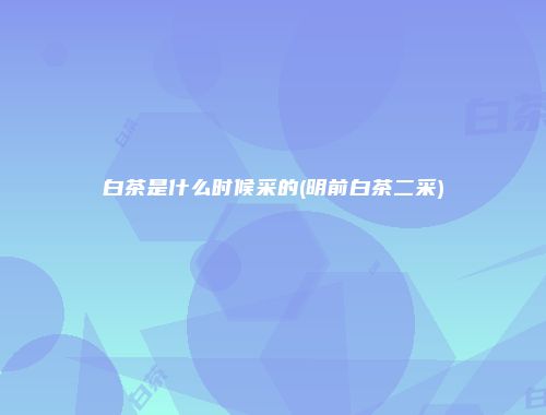 白茶是什么时候采的(明前白茶二采)