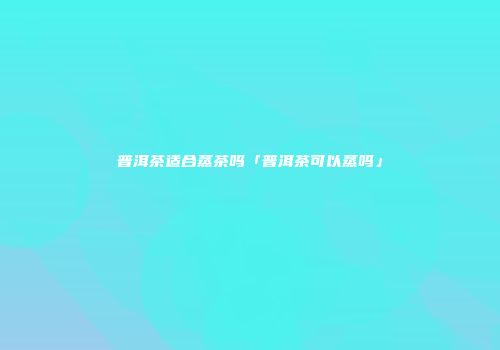 普洱茶适合蒸茶吗「普洱茶可以蒸吗」