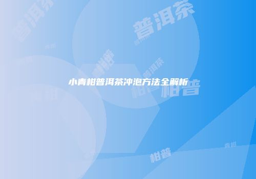 小青柑普洱茶冲泡方法全解析