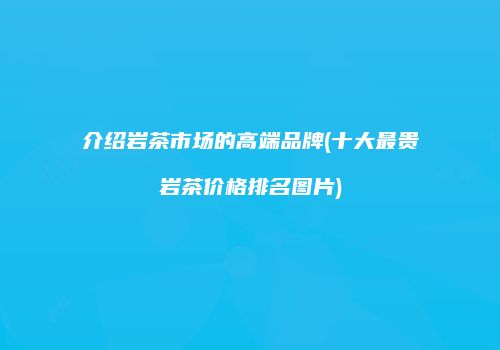 介绍岩茶市场的高端品牌(十大最贵岩茶价格排名图片)