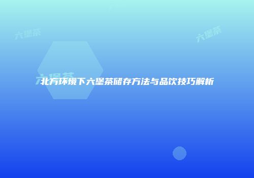 北方环境下六堡茶储存方法与品饮技巧解析