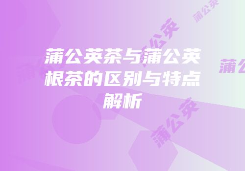 蒲公英茶与蒲公英根茶的区别与特点解析