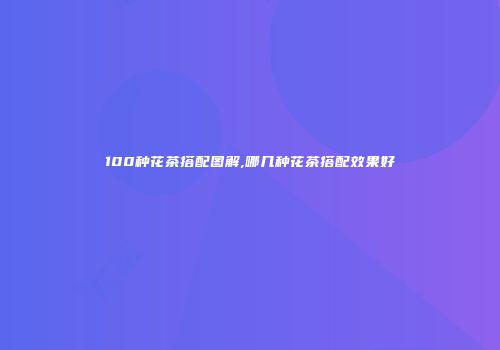100种花茶搭配图解,哪几种花茶搭配效果好