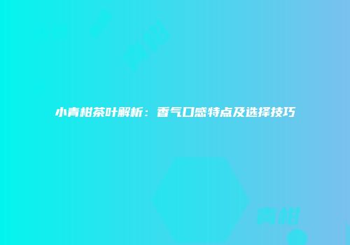 小青柑茶叶解析：香气口感特点及选择技巧
