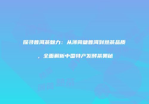 探寻普洱茶魅力：从薄荷糖普洱到熟茶品质，全面解析中国特产发酵茶奥秘