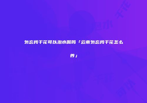 勿忘我干花可以泡水喝吗「云南勿忘我干花怎么养」
