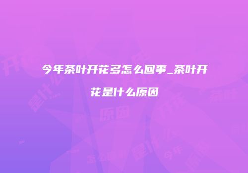 今年茶叶开花多怎么回事_茶叶开花是什么原因