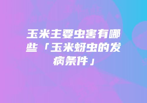 玉米主要虫害有哪些「玉米蚜虫的发病条件」