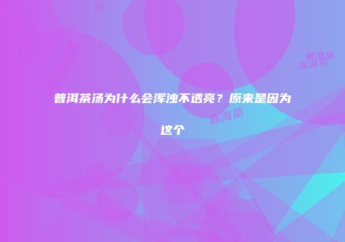 普洱茶汤为什么会浑浊不透亮？原来是因为这个
