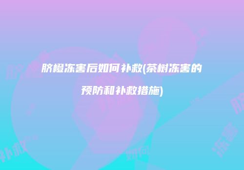 脐橙冻害后如何补救(茶树冻害的预防和补救措施)