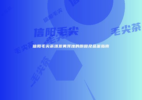 信阳毛尖茶汤发黄浑浊的原因及品鉴指南
