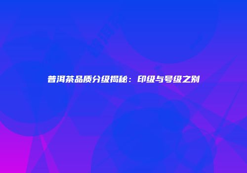 普洱茶品质分级揭秘：印级与号级之别