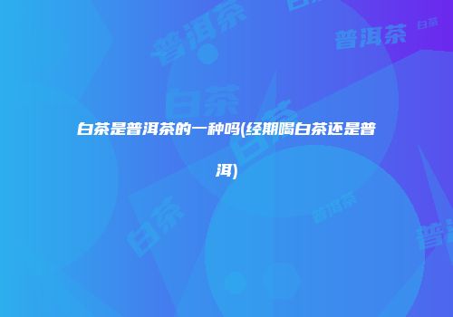 白茶是普洱茶的一种吗(经期喝白茶还是普洱)