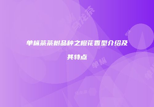 单枞茶茶树品种之橙花香型介绍及其特点