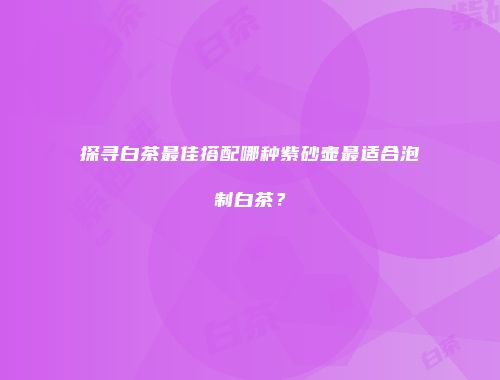 探寻白茶最佳搭配哪种紫砂壶最适合泡制白茶？