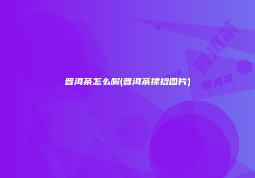普洱茶怎么喝(普洱茶揉捻图片)