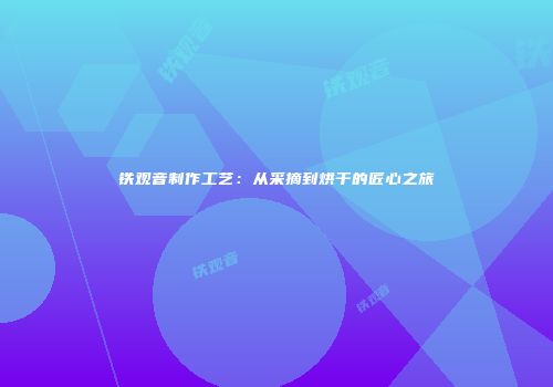 铁观音制作工艺：从采摘到烘干的匠心之旅