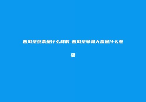 普洱茶茶票是什么样的-普洱茶号和大票是什么意思