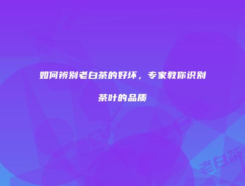 如何辨别老白茶的好坏，专家教你识别茶叶的品质