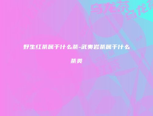 野生红茶属于什么茶-武夷岩茶属于什么茶类