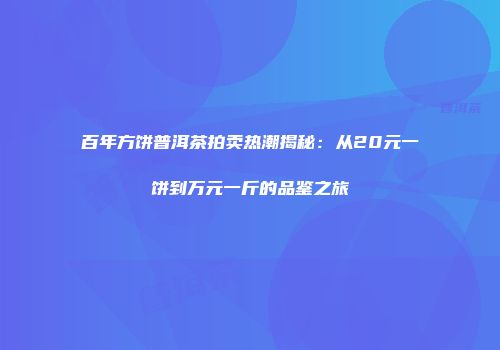 百年方饼普洱茶拍卖热潮揭秘：从20元一饼到万元一斤的品鉴之旅