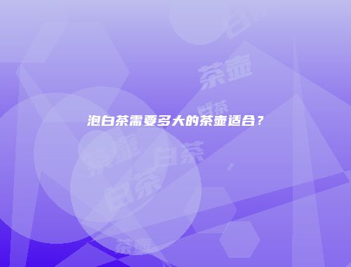 泡白茶需要多大的茶壶适合？