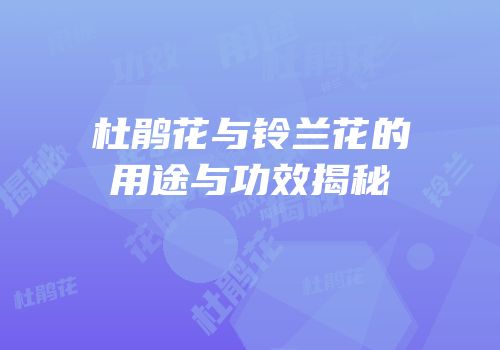 杜鹃花与铃兰花的用途与功效揭秘