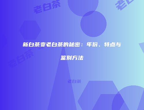 新白茶变老白茶的秘密：年份、特点与鉴别方法