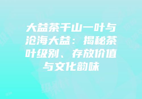 大益茶千山一叶与沧海大益：揭秘茶叶级别、存放价值与文化韵味