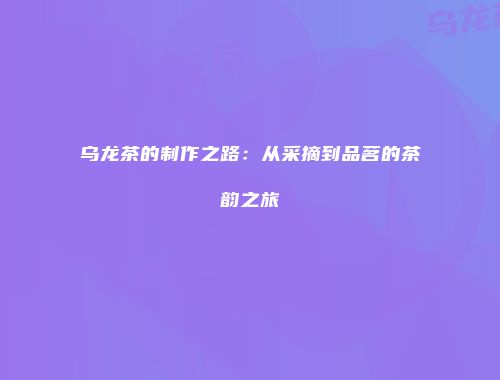 乌龙茶的制作之路：从采摘到品茗的茶韵之旅