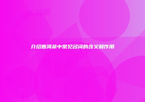 介绍普洱茶中常见名词的含义和作用