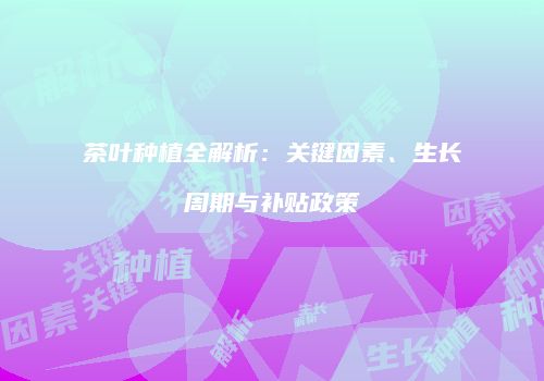 茶叶种植全解析：关键因素、生长周期与补贴政策