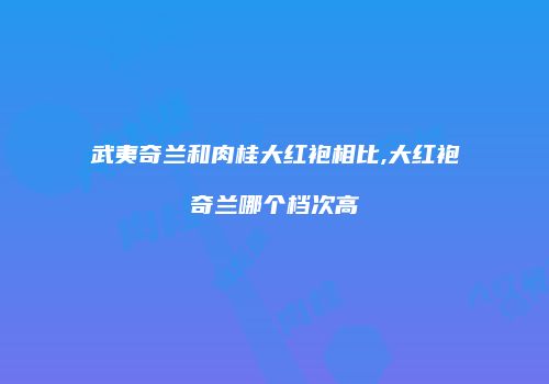 武夷奇兰和肉桂大红袍相比,大红袍奇兰哪个档次高