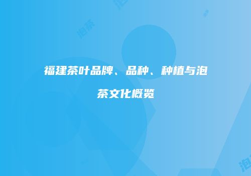 福建茶叶品牌、品种、种植与泡茶文化概览