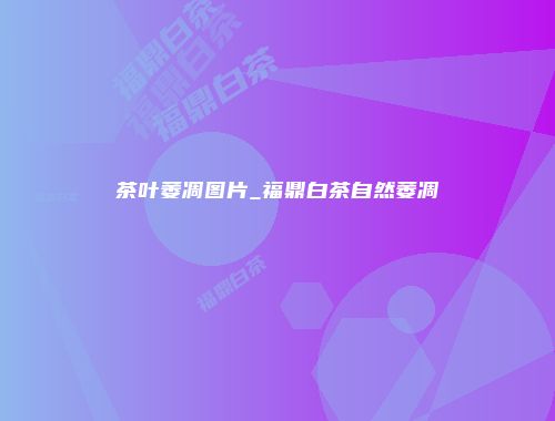 茶叶萎凋图片_福鼎白茶自然萎凋