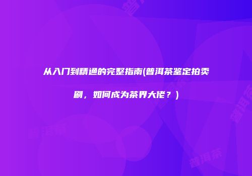 从入门到精通的完整指南(普洱茶鉴定拍卖刷，如何成为茶界大佬？)