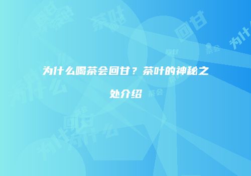 为什么喝茶会回甘？茶叶的神秘之处介绍