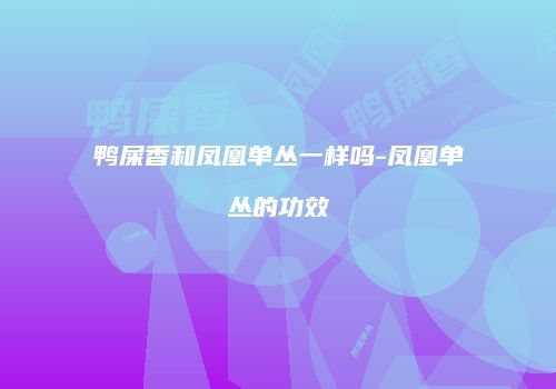 鸭屎香和凤凰单丛一样吗-凤凰单丛的功效