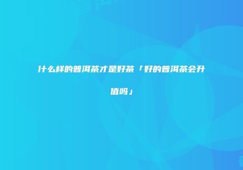什么样的普洱茶才是好茶「好的普洱茶会升值吗」