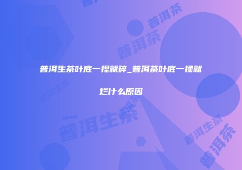 普洱生茶叶底一捏就碎_普洱茶叶底一揉就烂什么原因