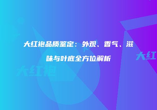 大红袍品质鉴定：外观、香气、滋味与叶底全方位解析