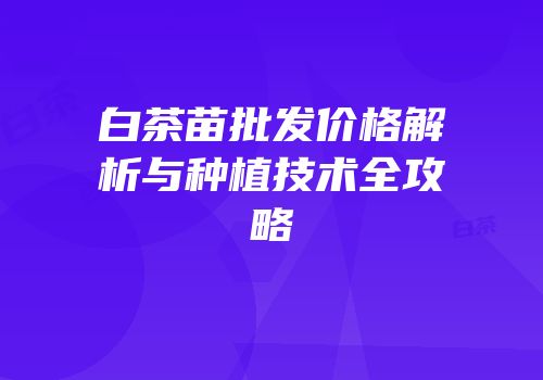 白茶苗批发价格解析与种植技术全攻略