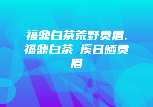 福鼎白茶荒野贡眉,福鼎白茶磻溪日晒贡眉