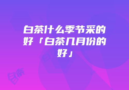 白茶什么季节采的好「白茶几月份的好」