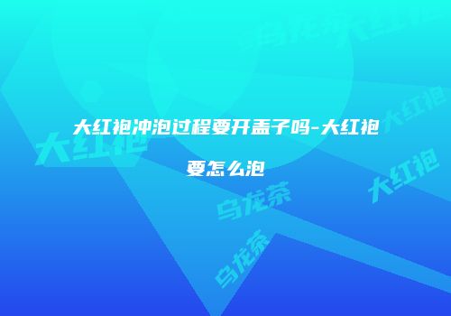 大红袍冲泡过程要开盖子吗-大红袍要怎么泡