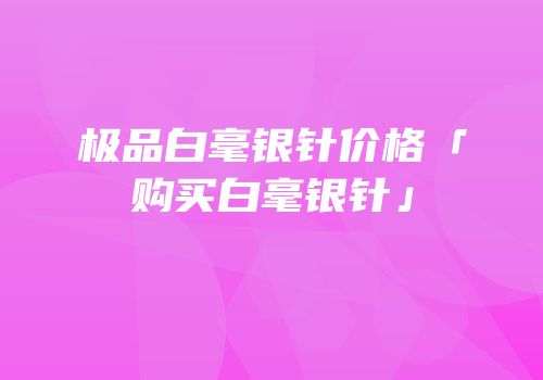 极品白毫银针价格「购买白毫银针」