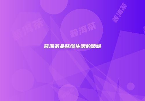 普洱茶品味慢生活的精髓