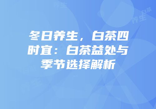 冬日养生，白茶四时宜：白茶益处与季节选择解析
