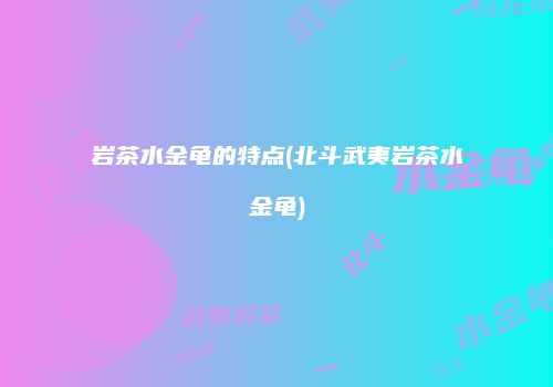 岩茶水金龟的特点(北斗武夷岩茶水金龟)