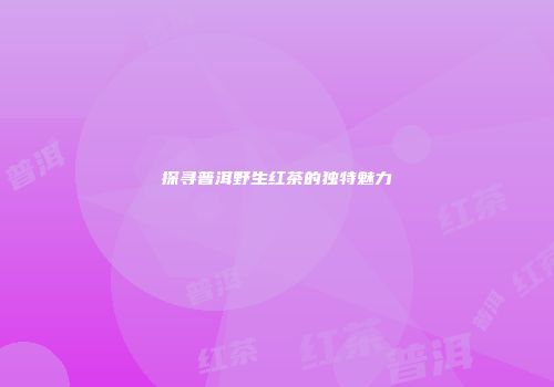 探寻普洱野生红茶的独特魅力